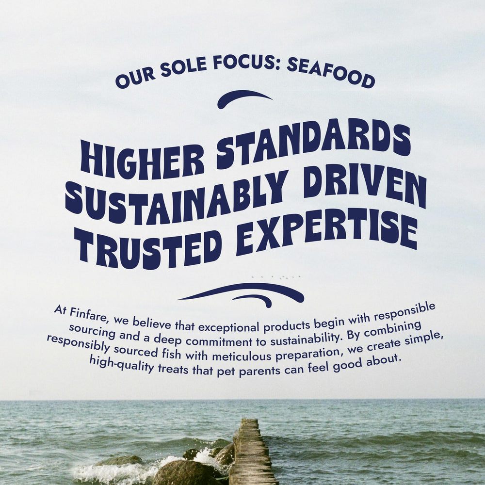 Finfare sustainably sourced salmon photo—traceable fisheries supporting responsible seafood.