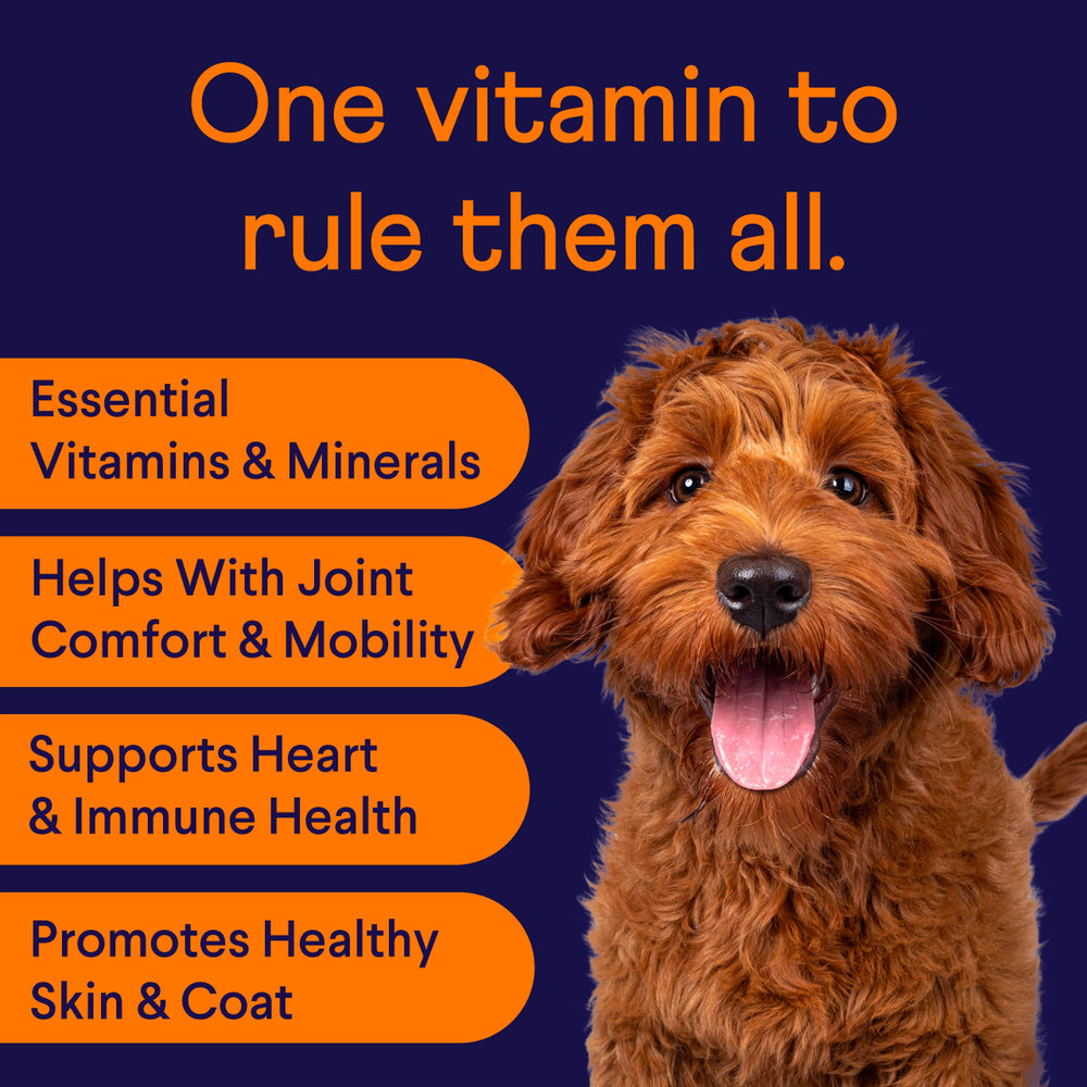 Finn All-in-1 Multivitamin for Dogs soft chews closeup showing tasty flavors