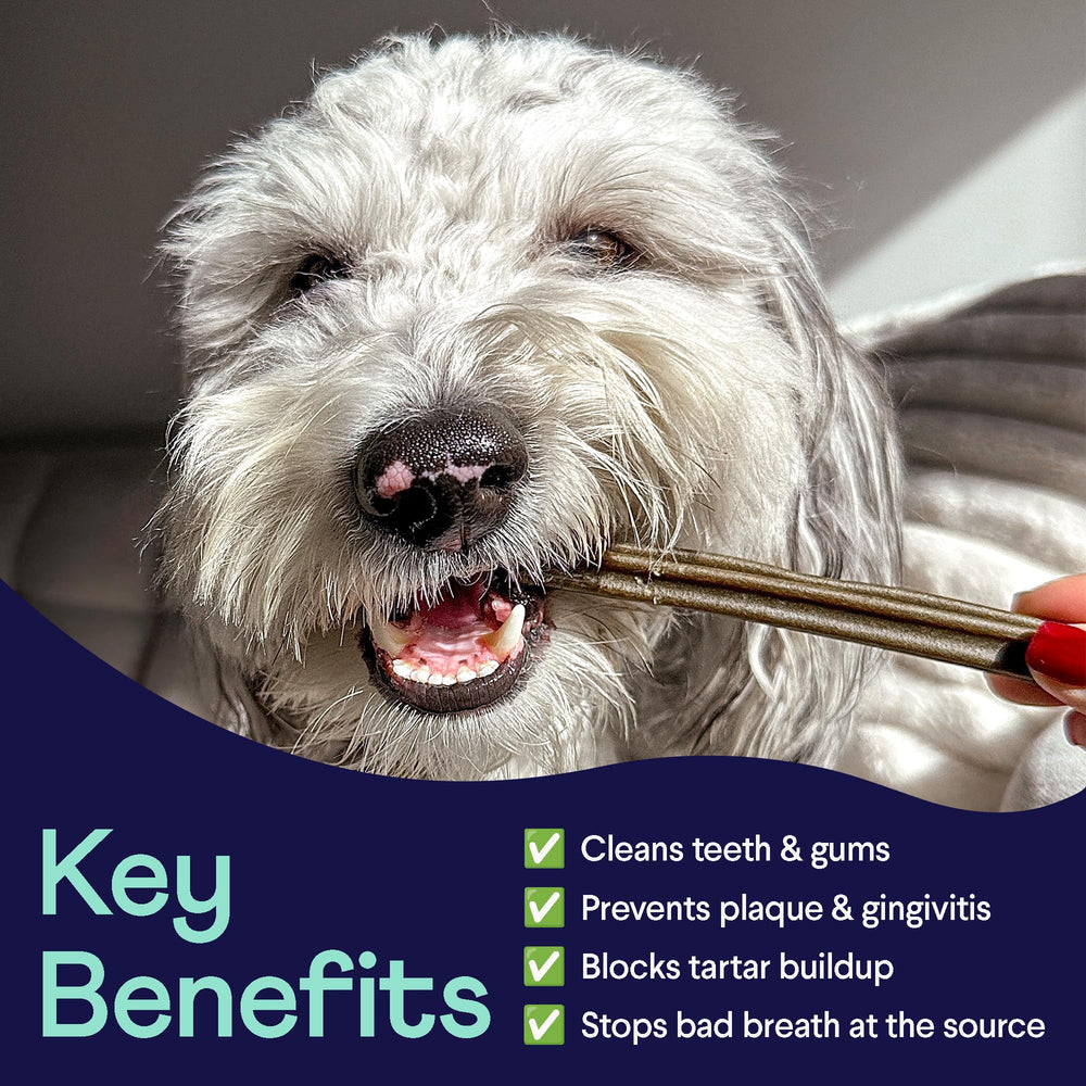 Finn bacon-flavor with mint freshness enhances breath-friendly chew experience