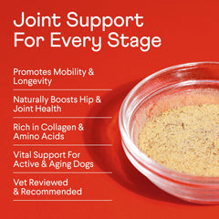Finn Bone Broth Plus powder being poured over kibble for easier chewing and hydration.