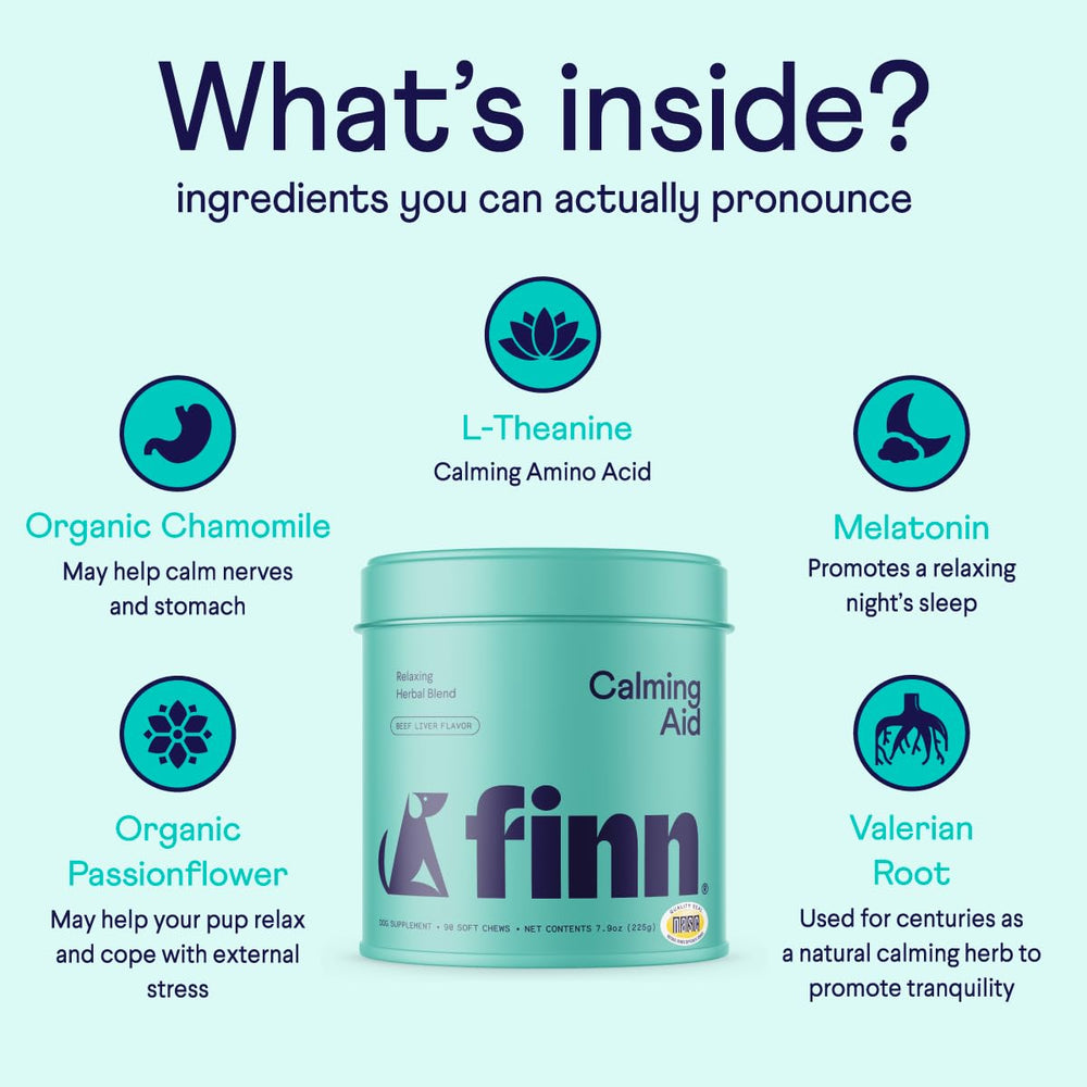 Finn Calming Aid soft chews close-up with beef liver flavor for acceptance