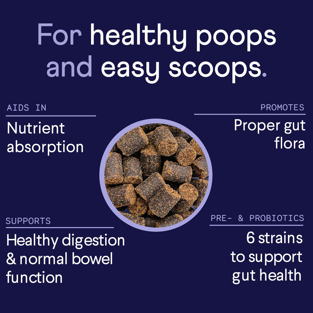 Finn Comfy Pup Bundle NASC-certified badge—trusted, quality-assured canine supplement.