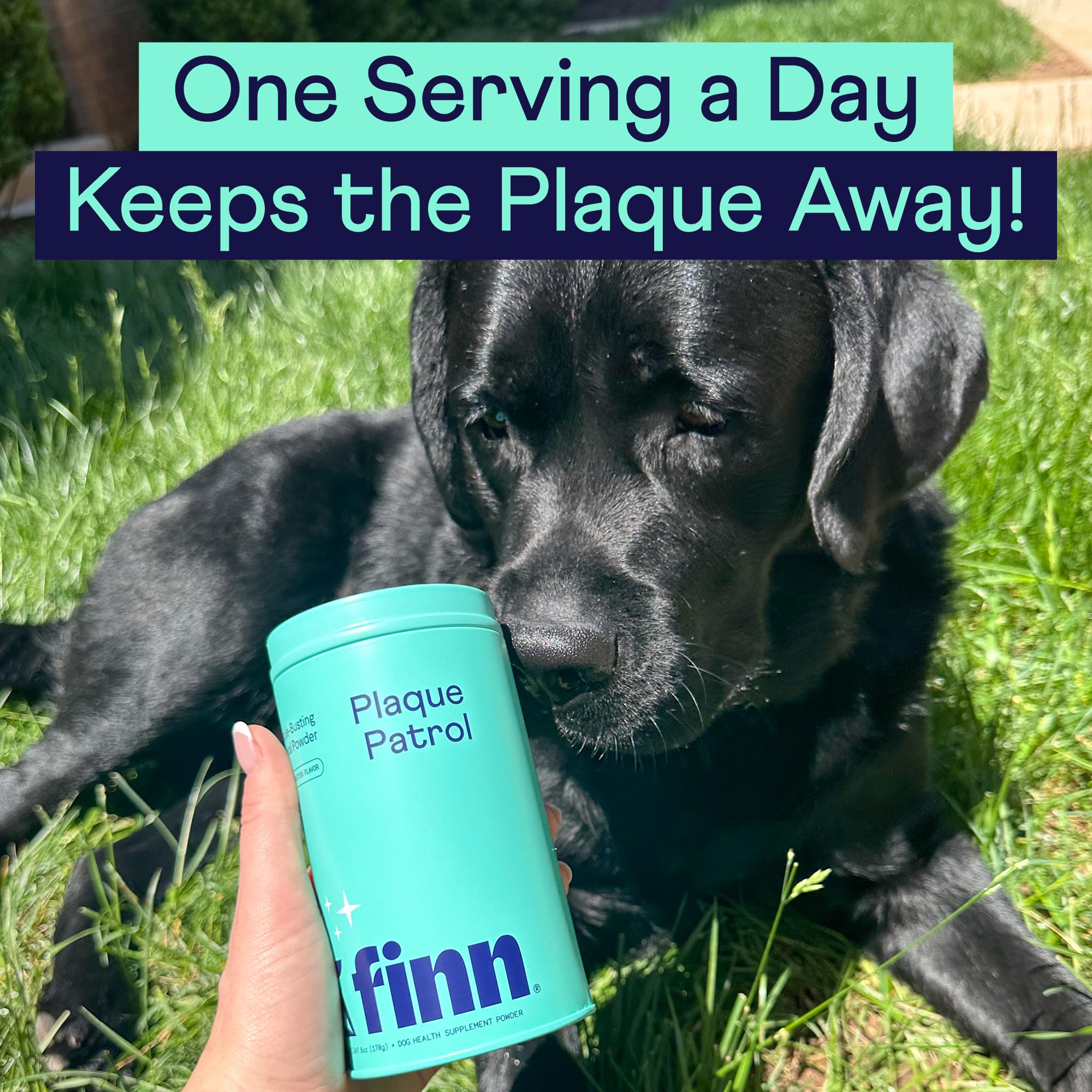 Finn Dental Powder helping a dog enjoy meals with fresher breath