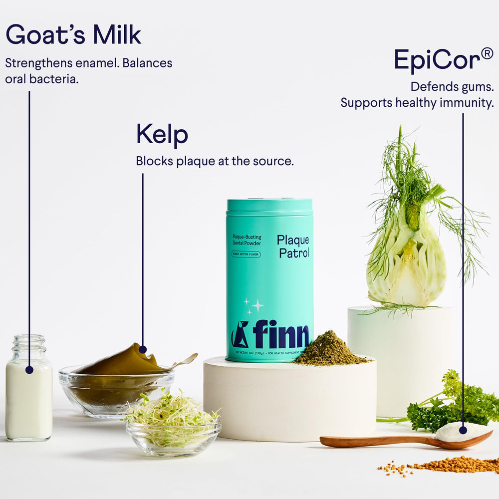 Finn Dental Powder mixing with kibble to target tartar buildup