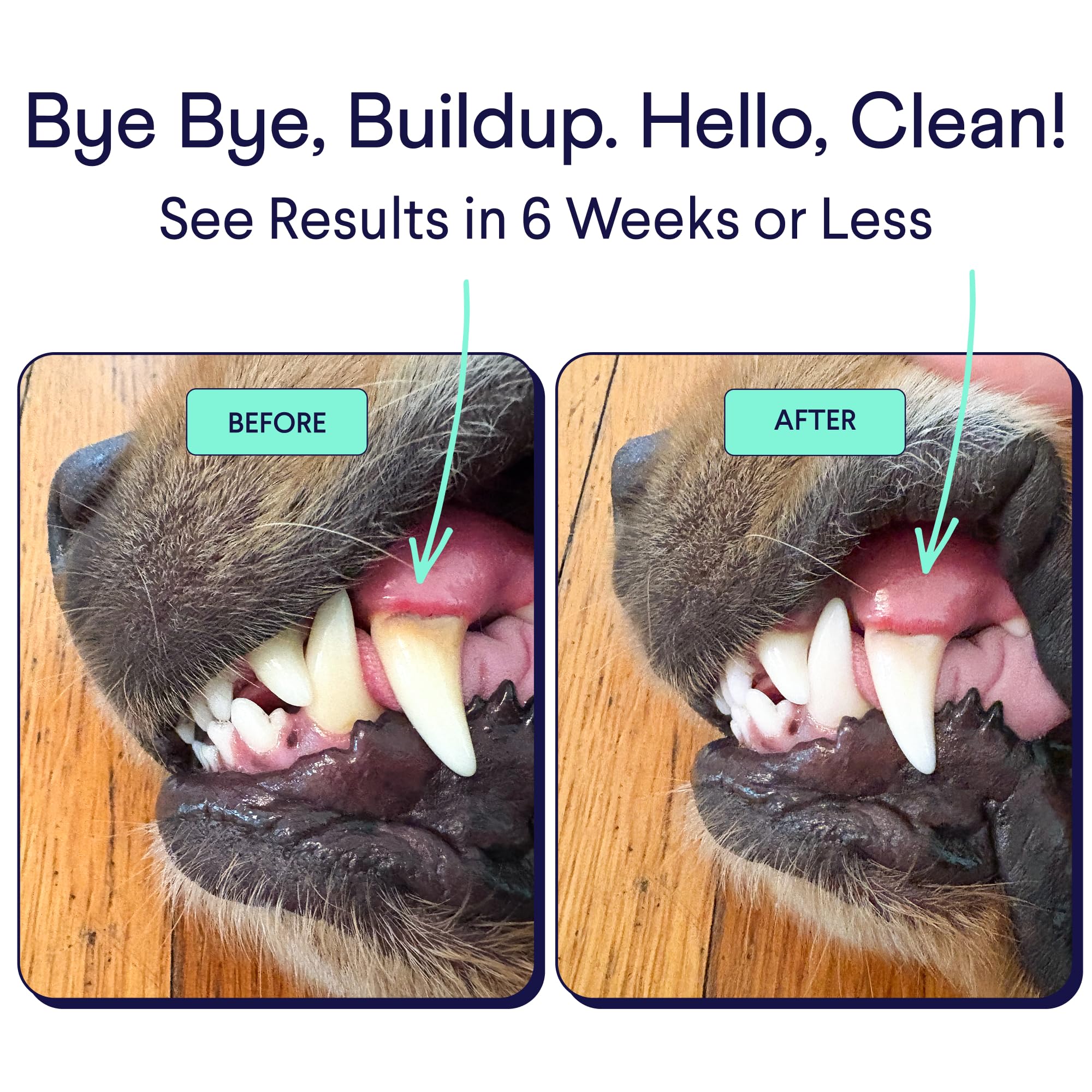 Finn Dental Powder being poured into dog food to reduce plaque risk