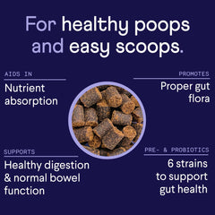 Finn Digestive Probiotics for Dogs pumpkin pieces highlight fiber-rich ingredients aiding stool quality.