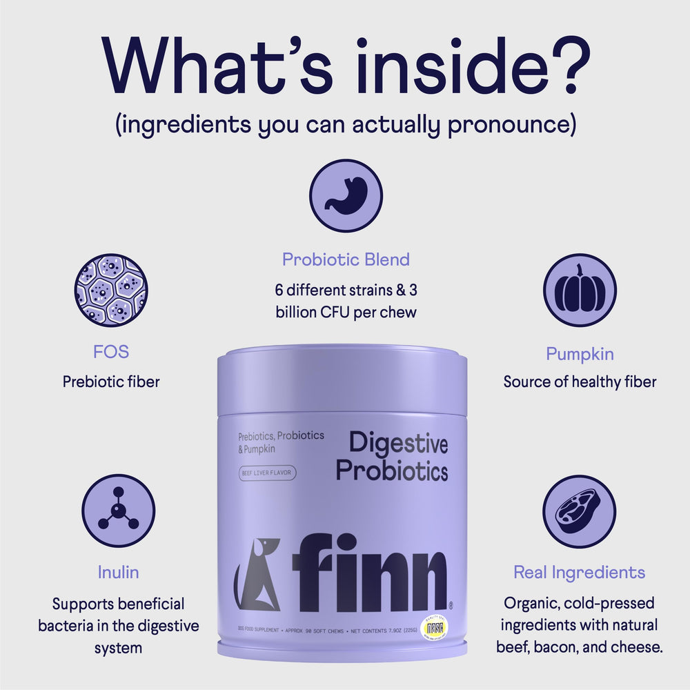 Finn Digestive Probiotics for Dogs soft chews closeup emphasizes tasty texture and convenient dosing.