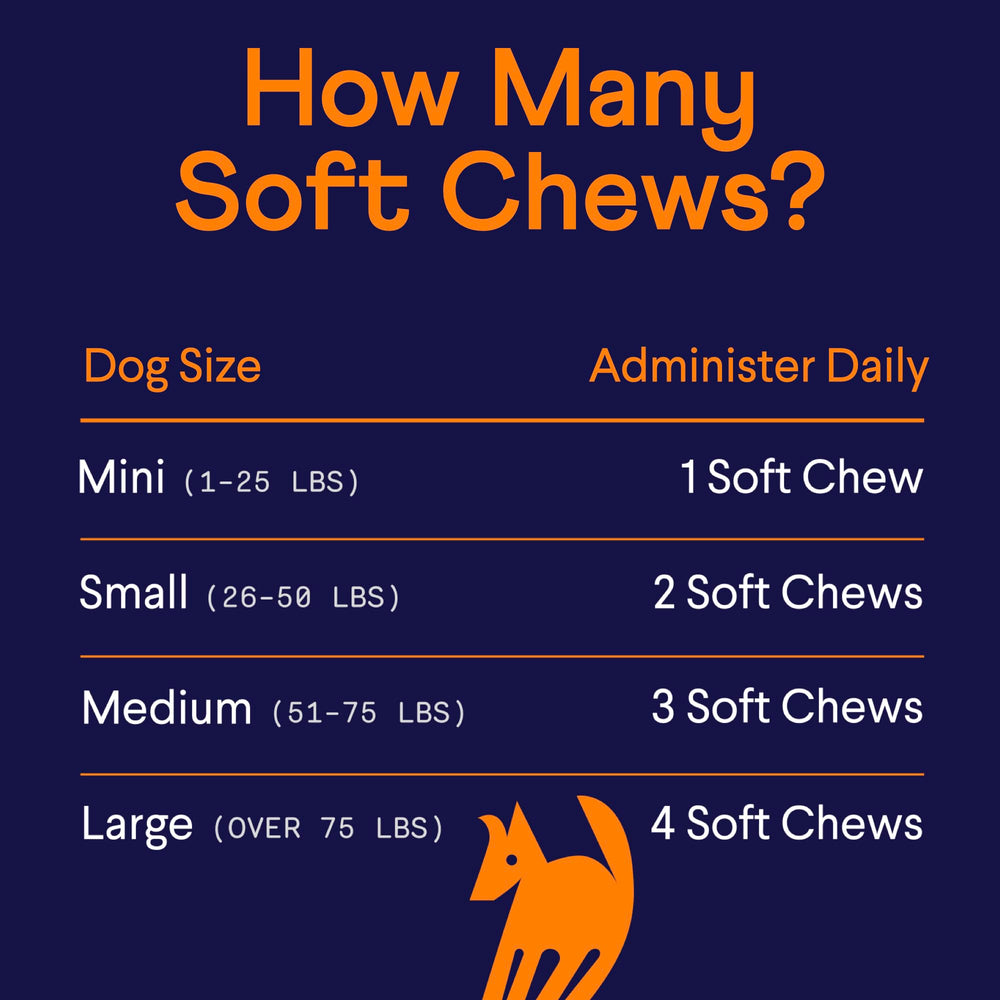 Finn hip and joint bottle and chews showcase daily movement support.
