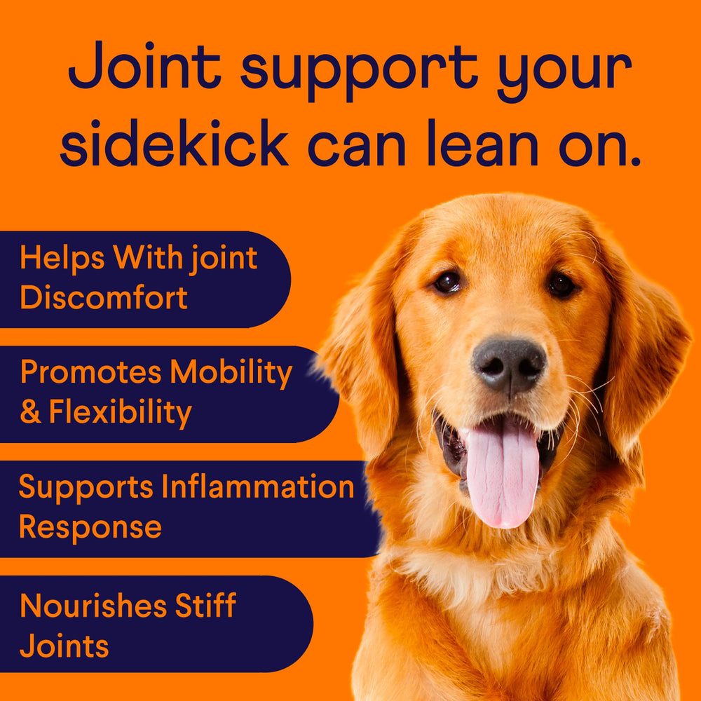 Finn soft chews with tasty flavor support joint comfort and daily activity.