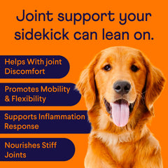 Finn soft chews with tasty flavor support joint comfort and daily activity.