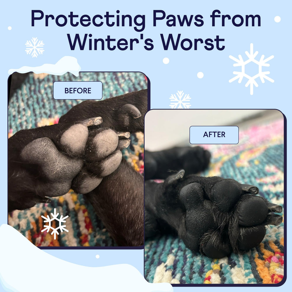 Finn Paw Hero balm label closeup highlights natural ingredients for sensitive paws.