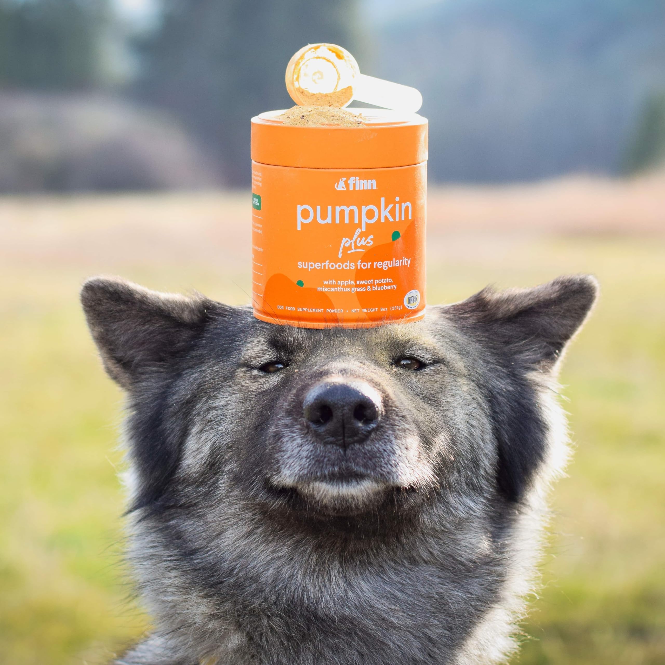 Finn Pumpkin Plus natural ingredients graphic highlights gentle digestion and wholesome fiber for pets.