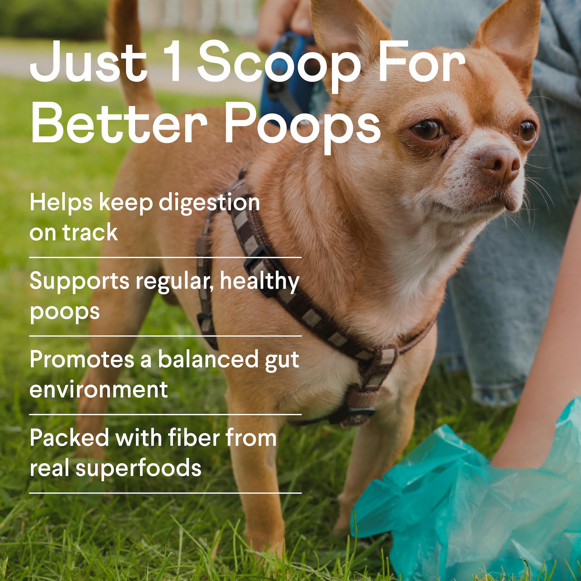 Finn Pumpkin Plus real pumpkin ingredients highlight fiber-rich, natural nutrition for regularity.