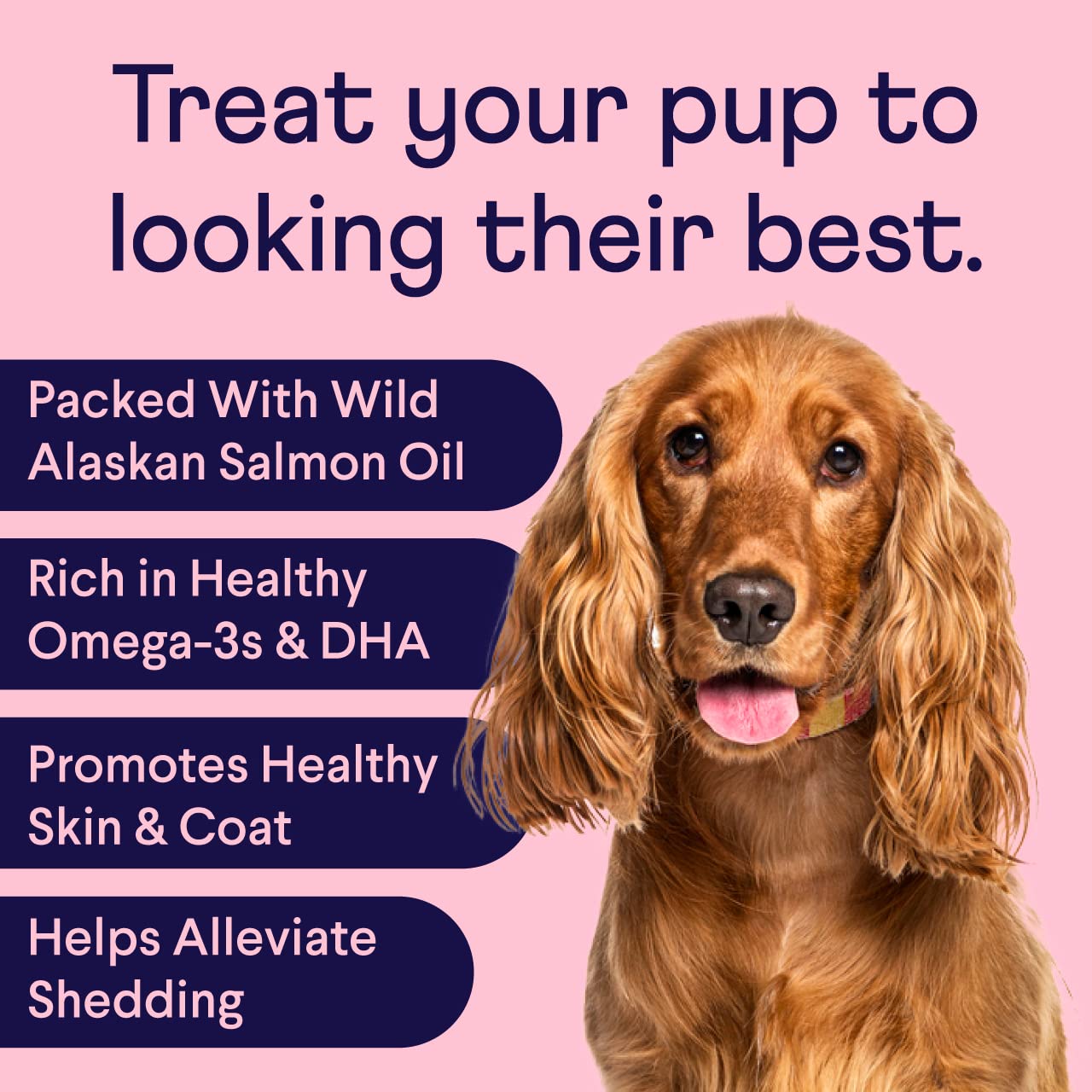 Finn Skin & Coat soft chews closeup shows tasty real-beef flavor for daily coat care.
