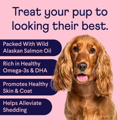 Finn Skin & Coat soft chews closeup shows tasty real-beef flavor for daily coat care.
