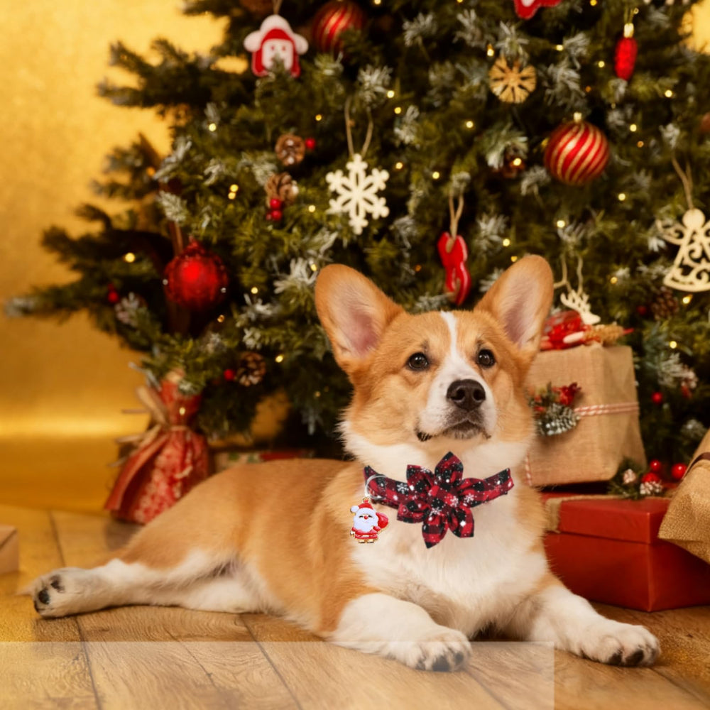Fipergen Christmas dog collar in buffalo plaid with snowflake pattern for festive photos