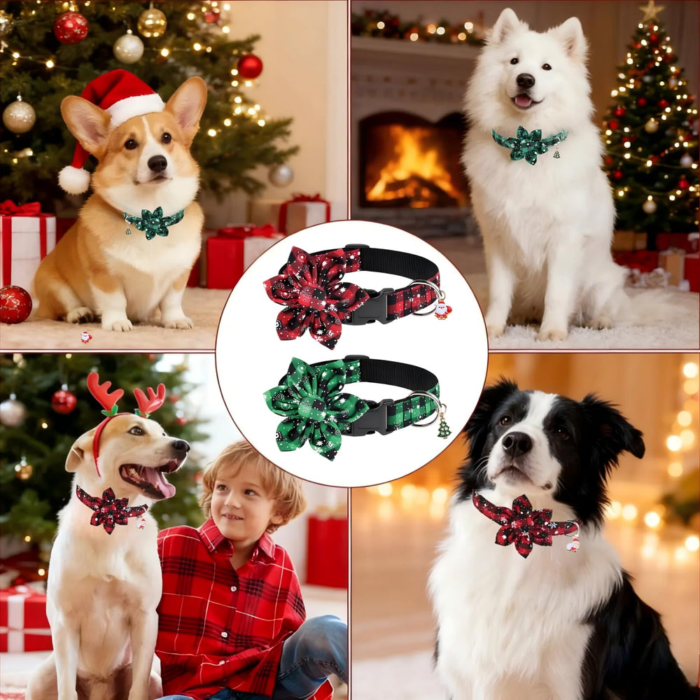 Fipergen gift-set collar in red box for easy holiday gifting