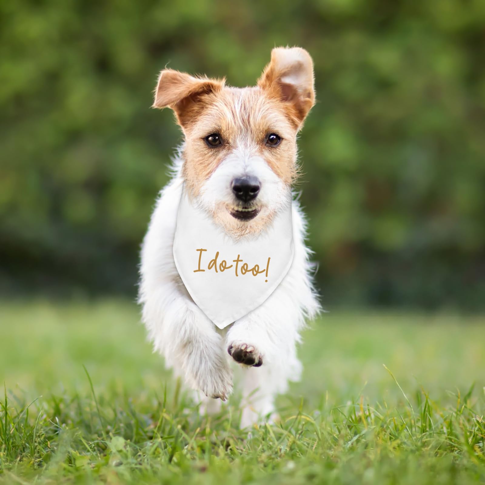 Fipsieneml bandana soft polyester 25 inches comfortable for small and medium dogs.