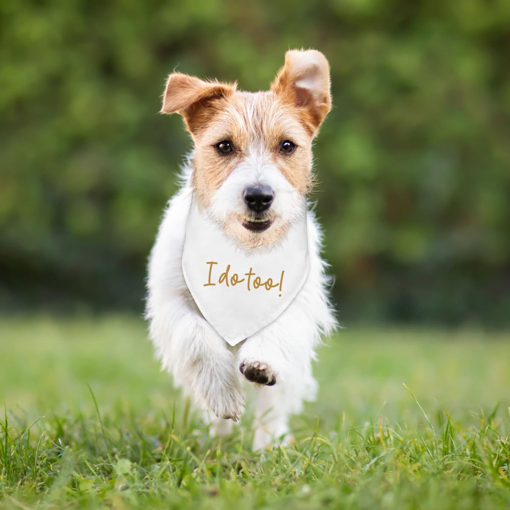 Fipsieneml bandana soft polyester 25 inches comfortable for small and medium dogs.