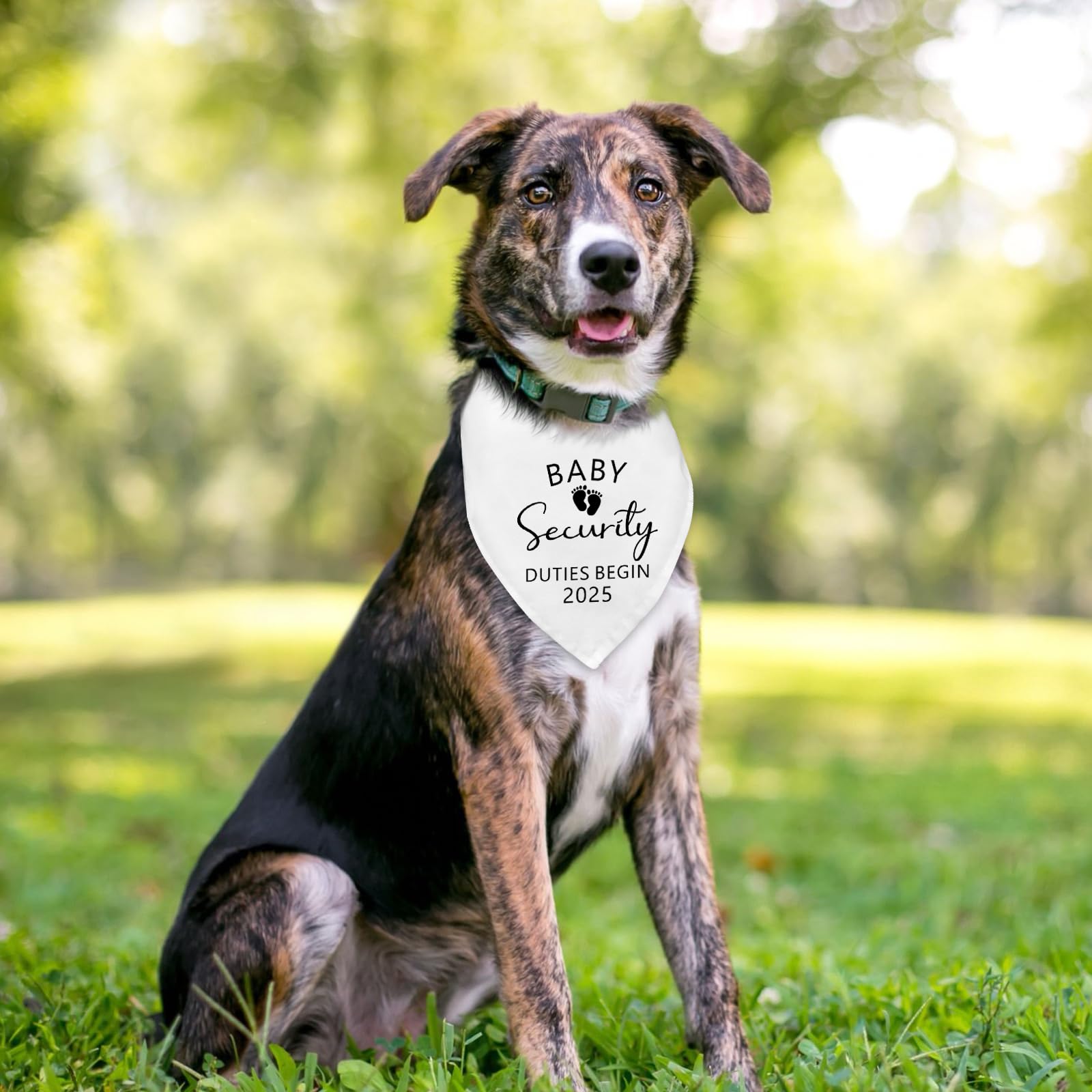 Fipsieneml dog bandana packaging and service highlights easy returns and support