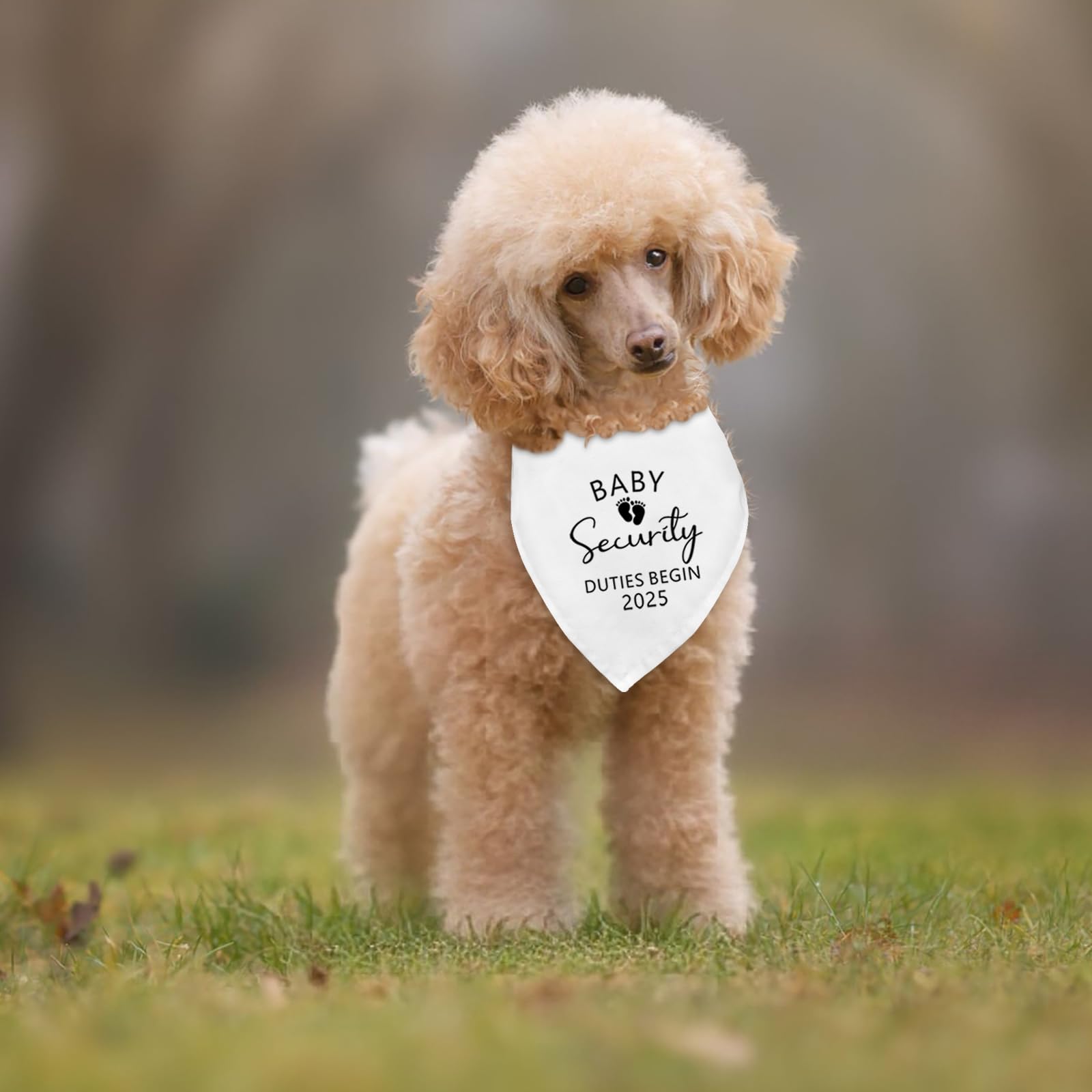 Fipsieneml dog bandana pregnancy gift idea doubles as thoughtful present