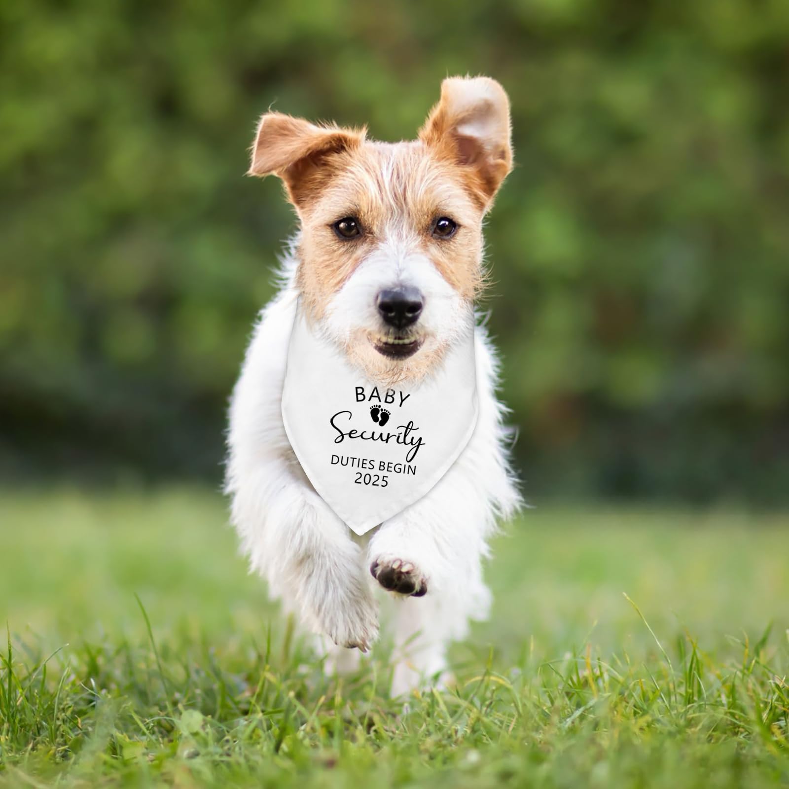 Fipsieneml dog bandana small-medium-dog-fit designed for comfortable wear