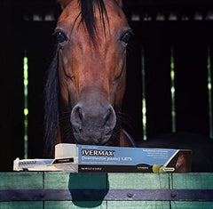 First Companion Ivermax paste being dispensed shows easy dosing for horses.