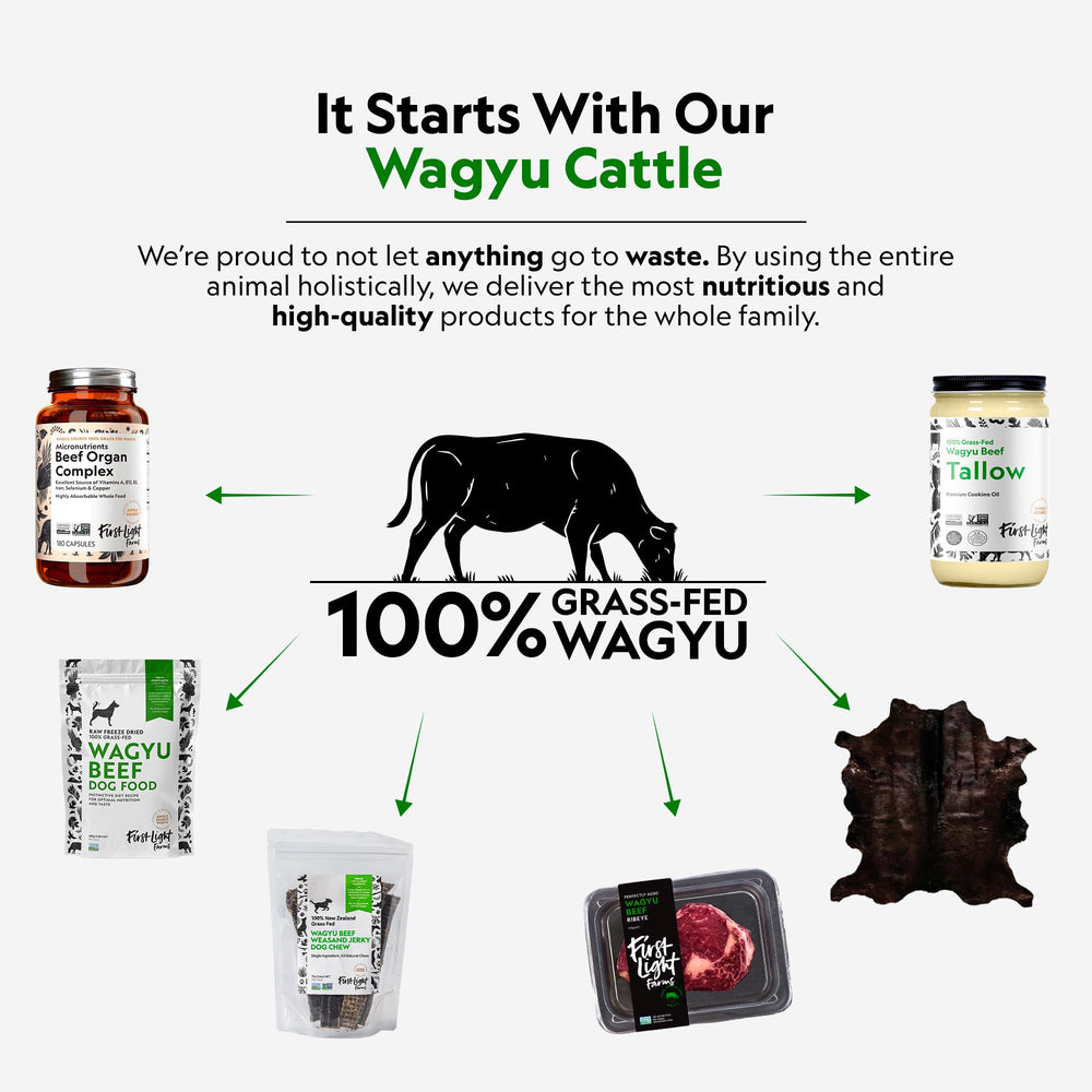 First Light Wagyu Beef Weasands teeth-cleaning action demonstrates plaque-fighting chew potential