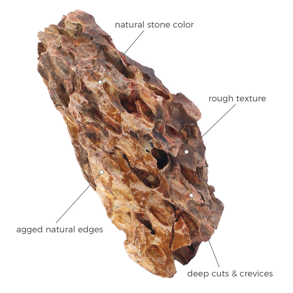 FISCAPE aquarium rocks terrarium decor blends earthy tones with plants