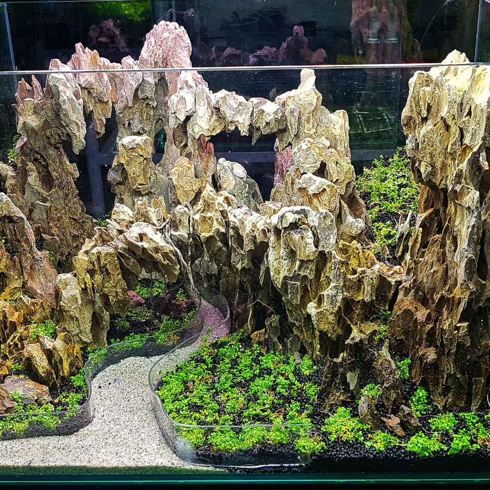 FISCAPE dragon stone porous structure supports beneficial bacteria for natural biofiltration