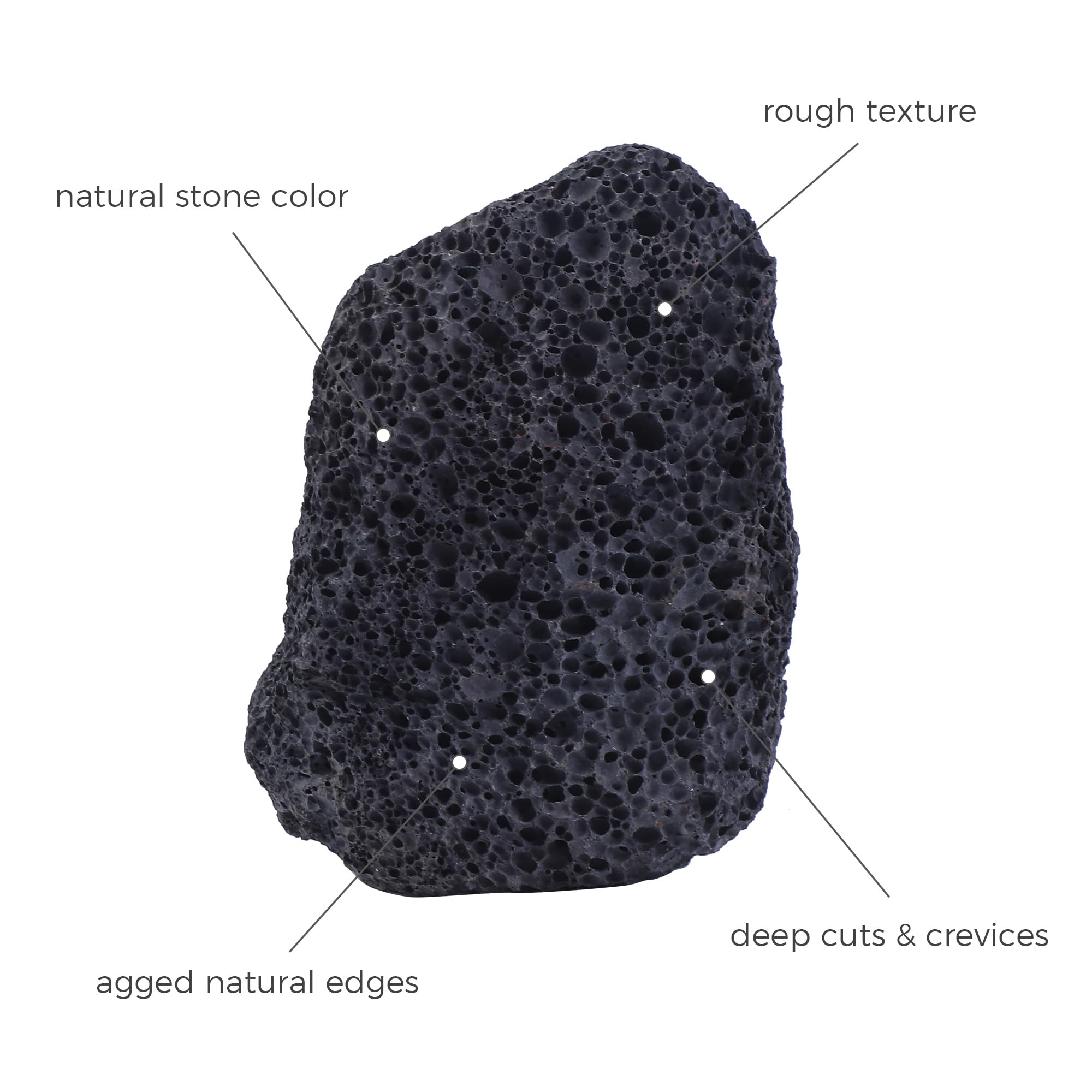 FISCAPE lava rock terrarium decor adds natural contrast and durable habitat features