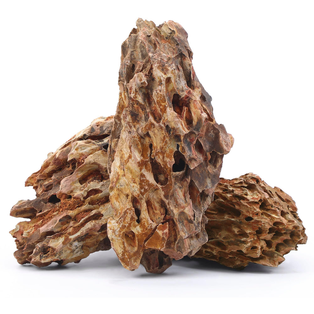 FISCAPE natural dragon stone 10-12in highlights texture for dramatic aquascaping
