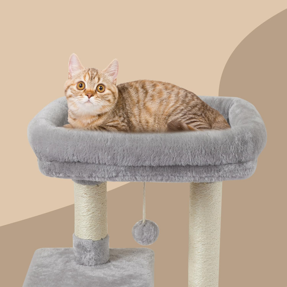 FISH&NAP multiple levels offer spacious perches for curious cats