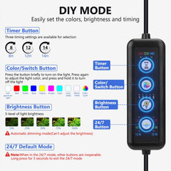 fishkeeper Clip-On LED Light full-spectrum lighting supports vibrant plant growth.