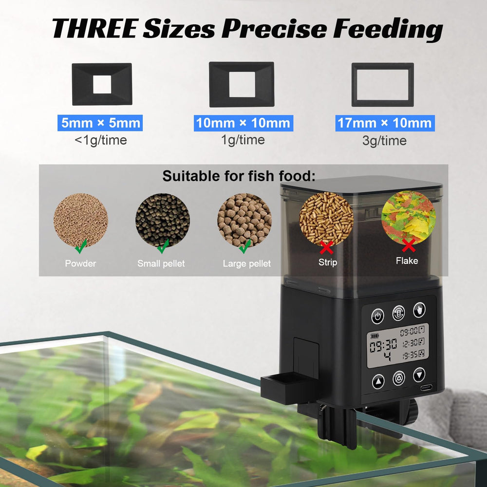 Fishkeeper vacation feeder automates daily or every-other-day schedules.