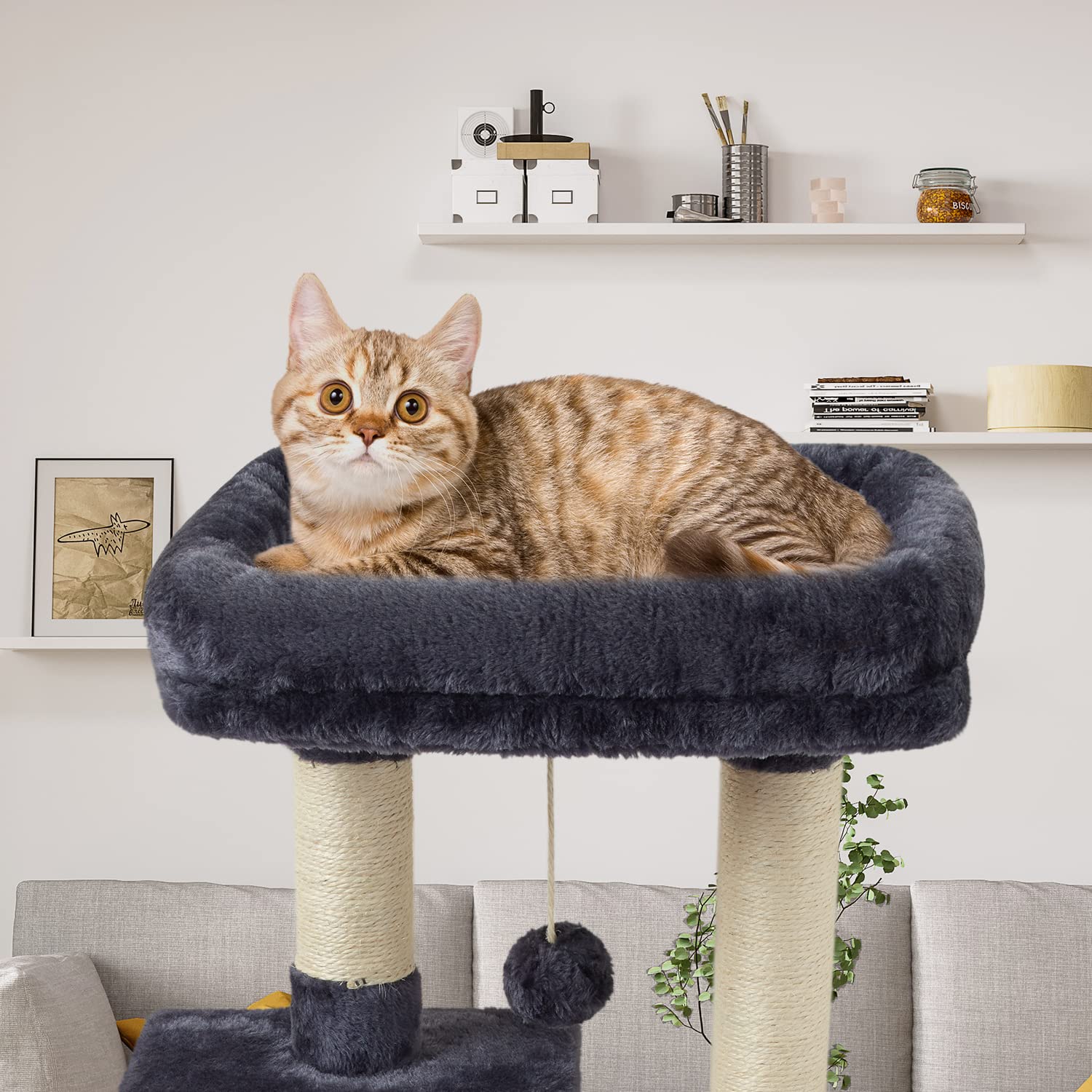 FISH&NAP Cat Tree platform-spacious provides elevated vantage points for curious cats.