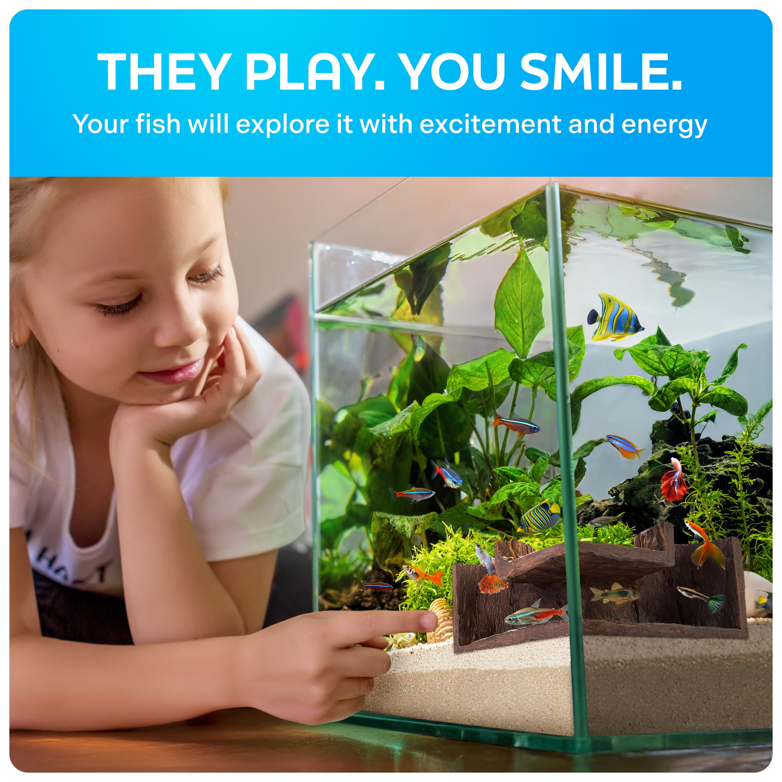 Fishnosh Aquarium Cave small-tank suitability for compact setups.