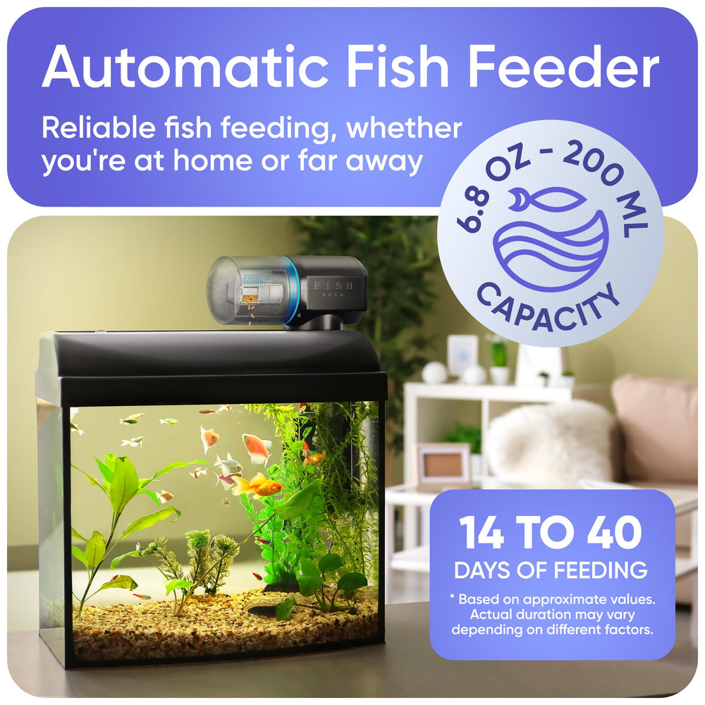 FISHNOSH Model-ML top view highlights simple setup for vacation feeding