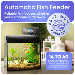 FISHNOSH Model-ML top view highlights simple setup for vacation feeding