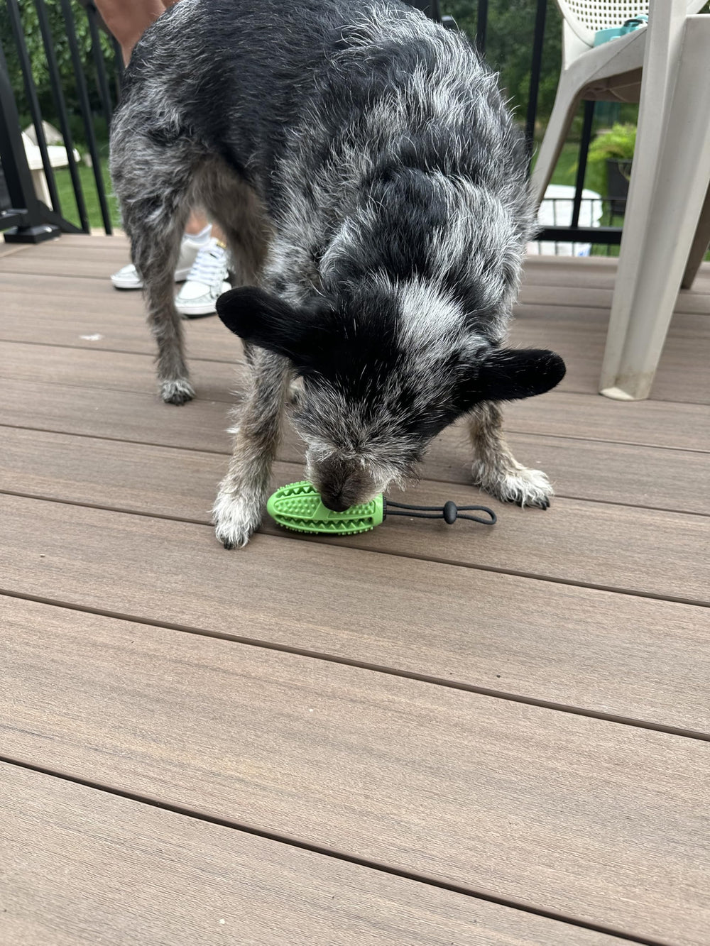 Fitryo dog football chew toy in action dispensing treats during play