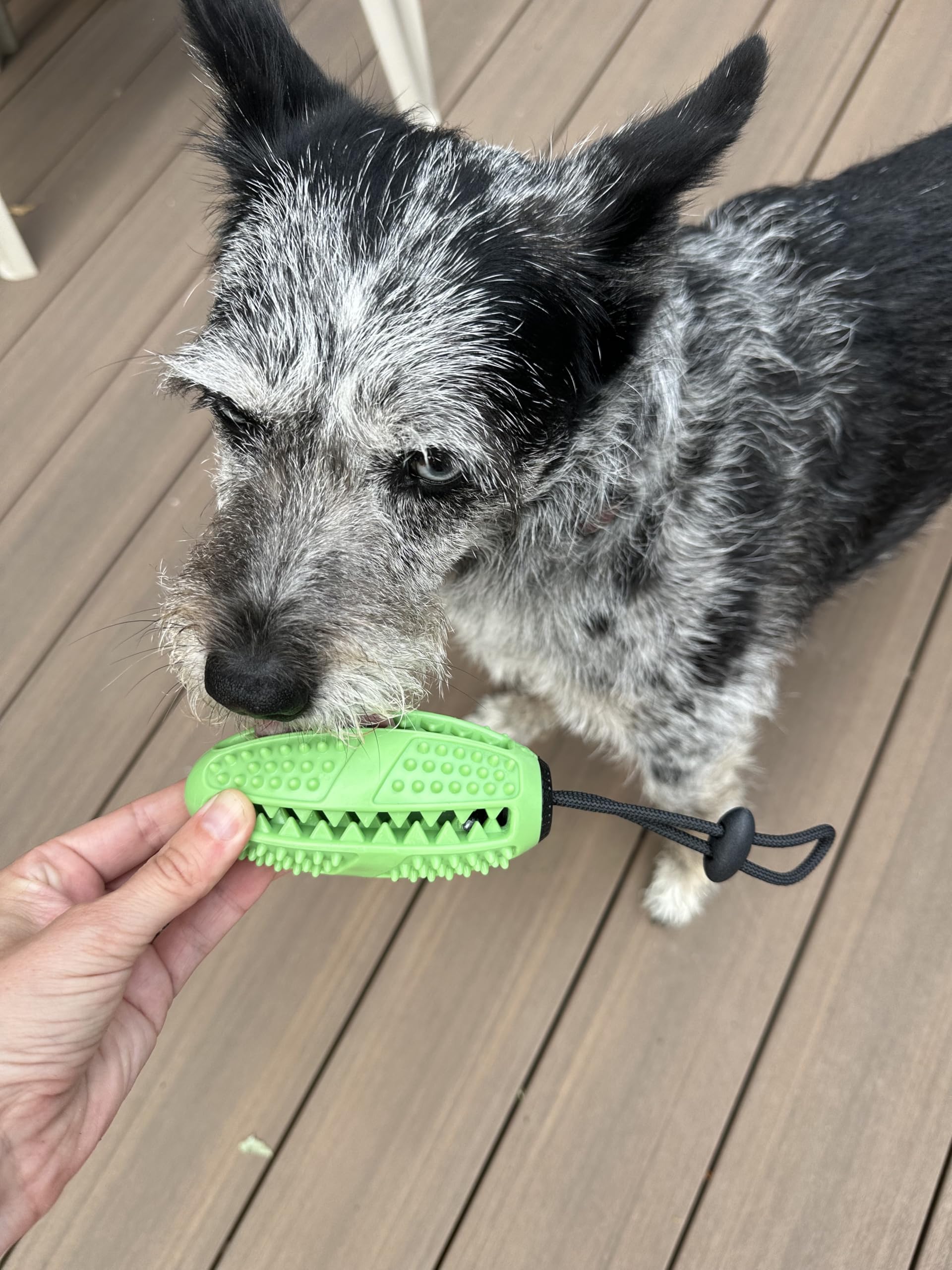 Fitryo dog football chew toy filled center keeps treats dispensing for extended interactive play