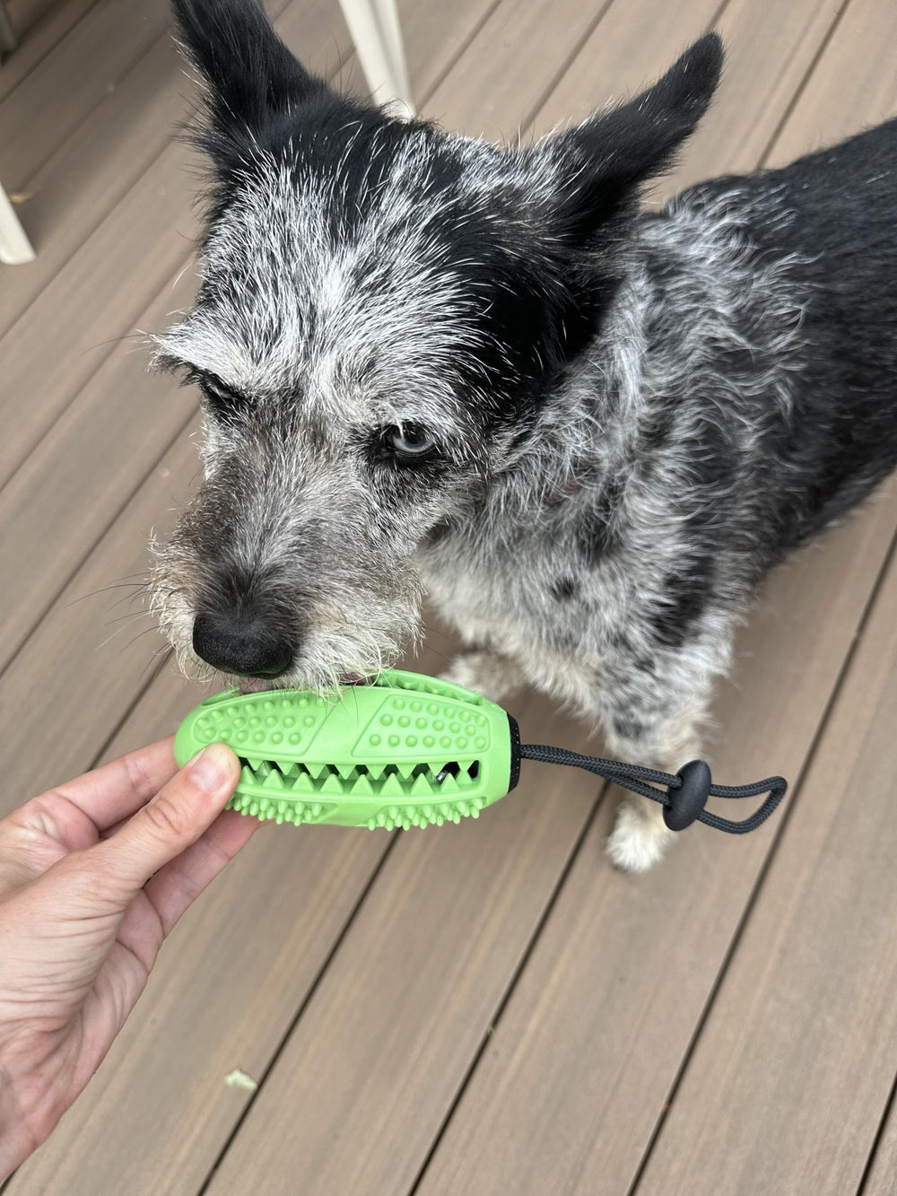 Fitryo dog football chew toy filled center keeps treats dispensing for extended interactive play