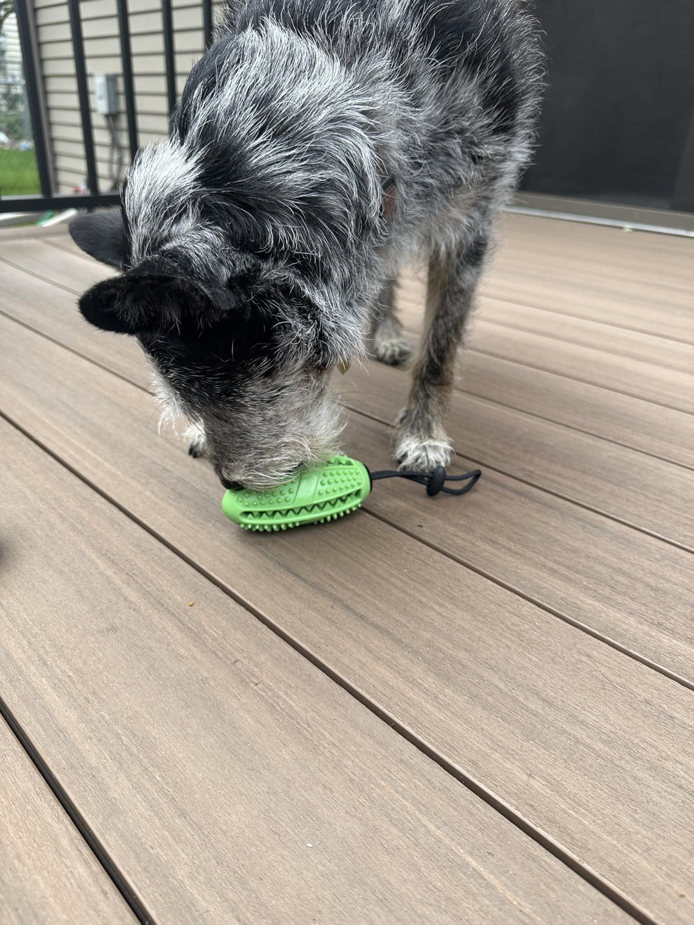 Fitryo dog football chew toy textured surface with raised nubs for gum massage