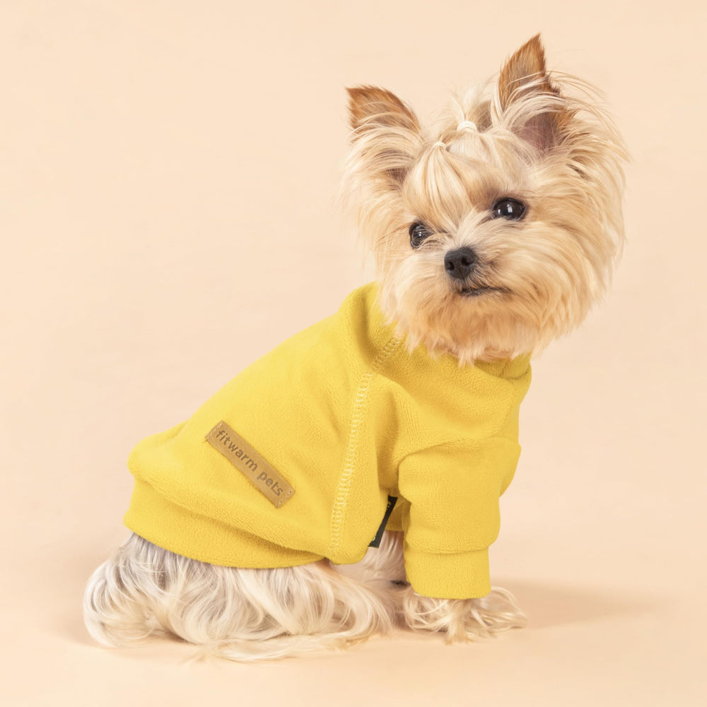 Fitwarm three-pack dog sweaters color pack showcases orange, yellow, and coffee hues