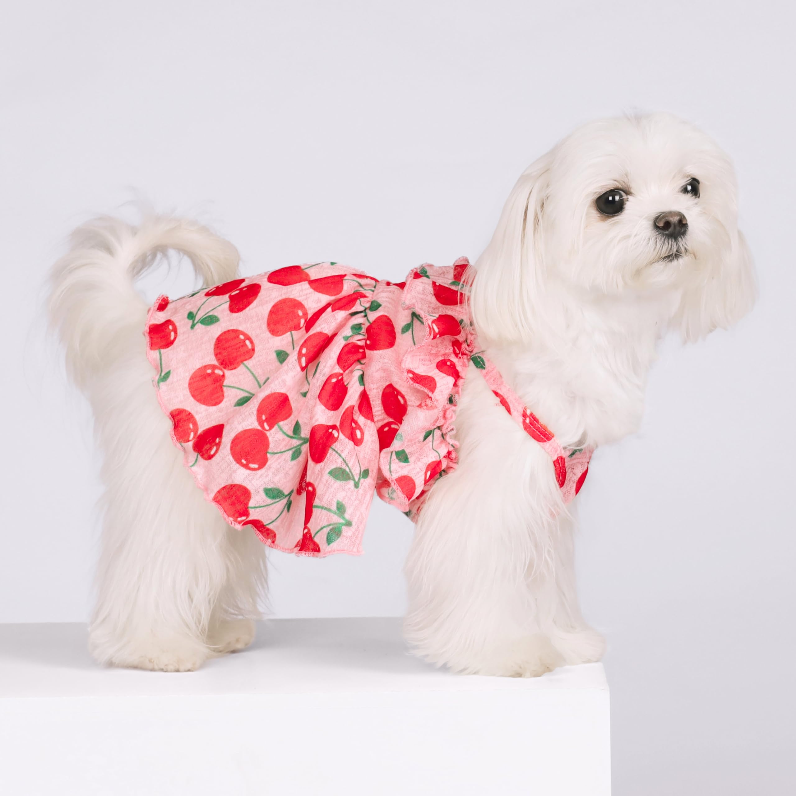 Fitwarm Cherry Dress halter-neck highlights princess-style flair for sunny days.