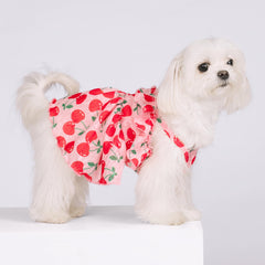 Fitwarm Cherry Dress halter-neck highlights princess-style flair for sunny days.