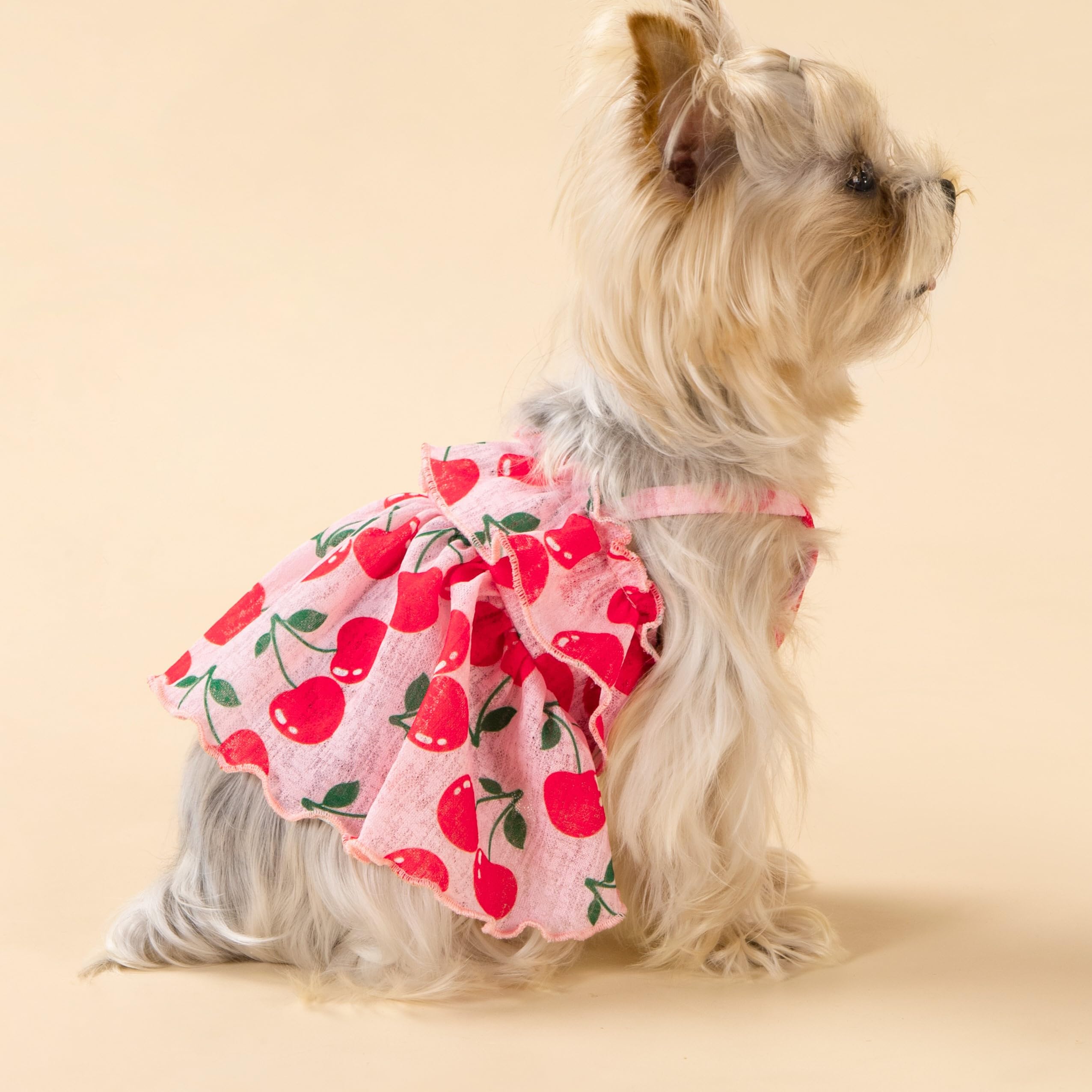 Fitwarm Cherry Dress with ruffle detail adds cute charm for photos.