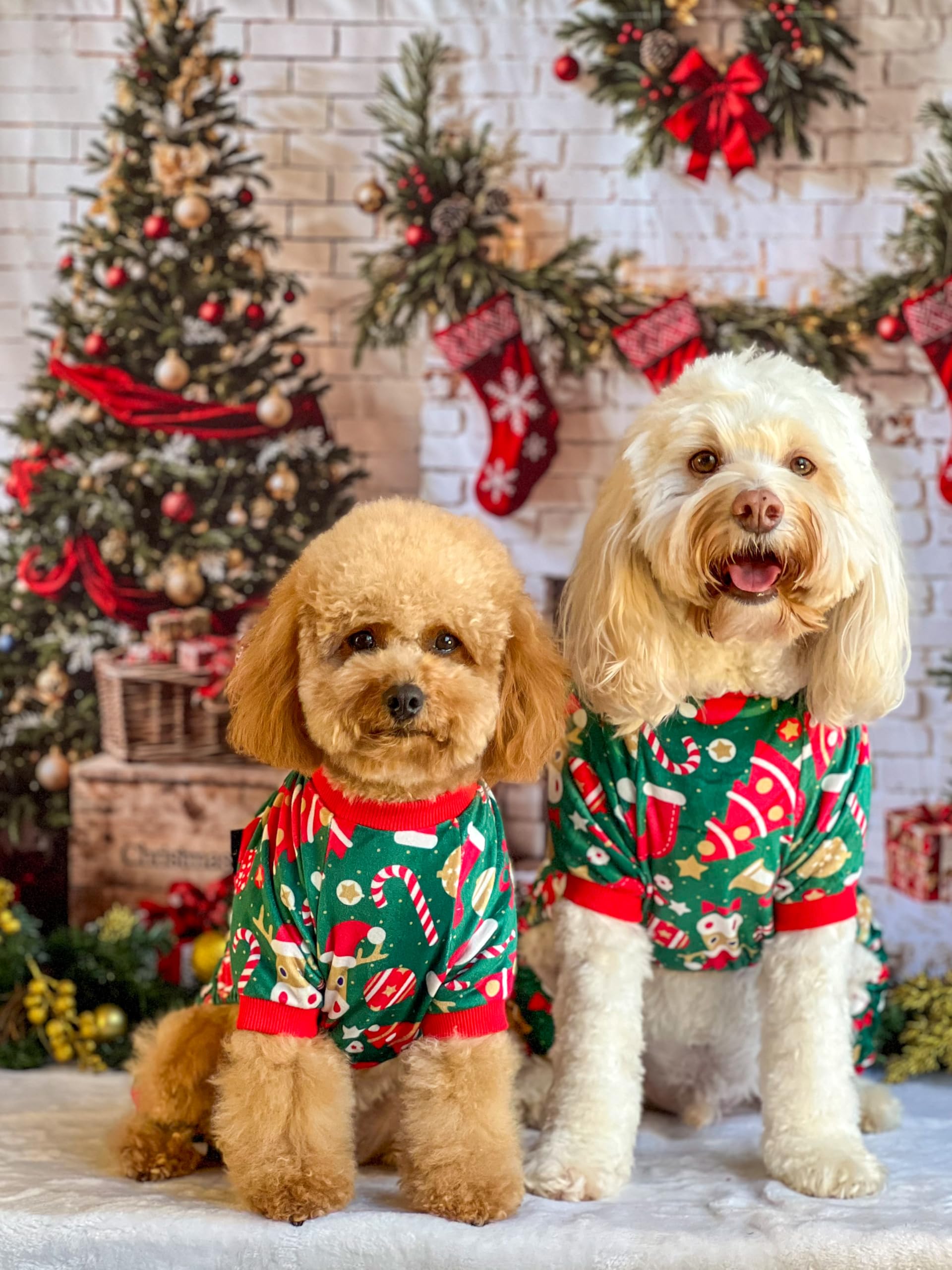Fitwarm Christmas dog pajamas on dog showcases comfortable holiday outfit.