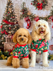 Fitwarm Christmas dog pajamas on dog showcases comfortable holiday outfit.