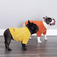 Fitwarm classic fleece dog sweater back view demonstrates secure fit for active small dogs